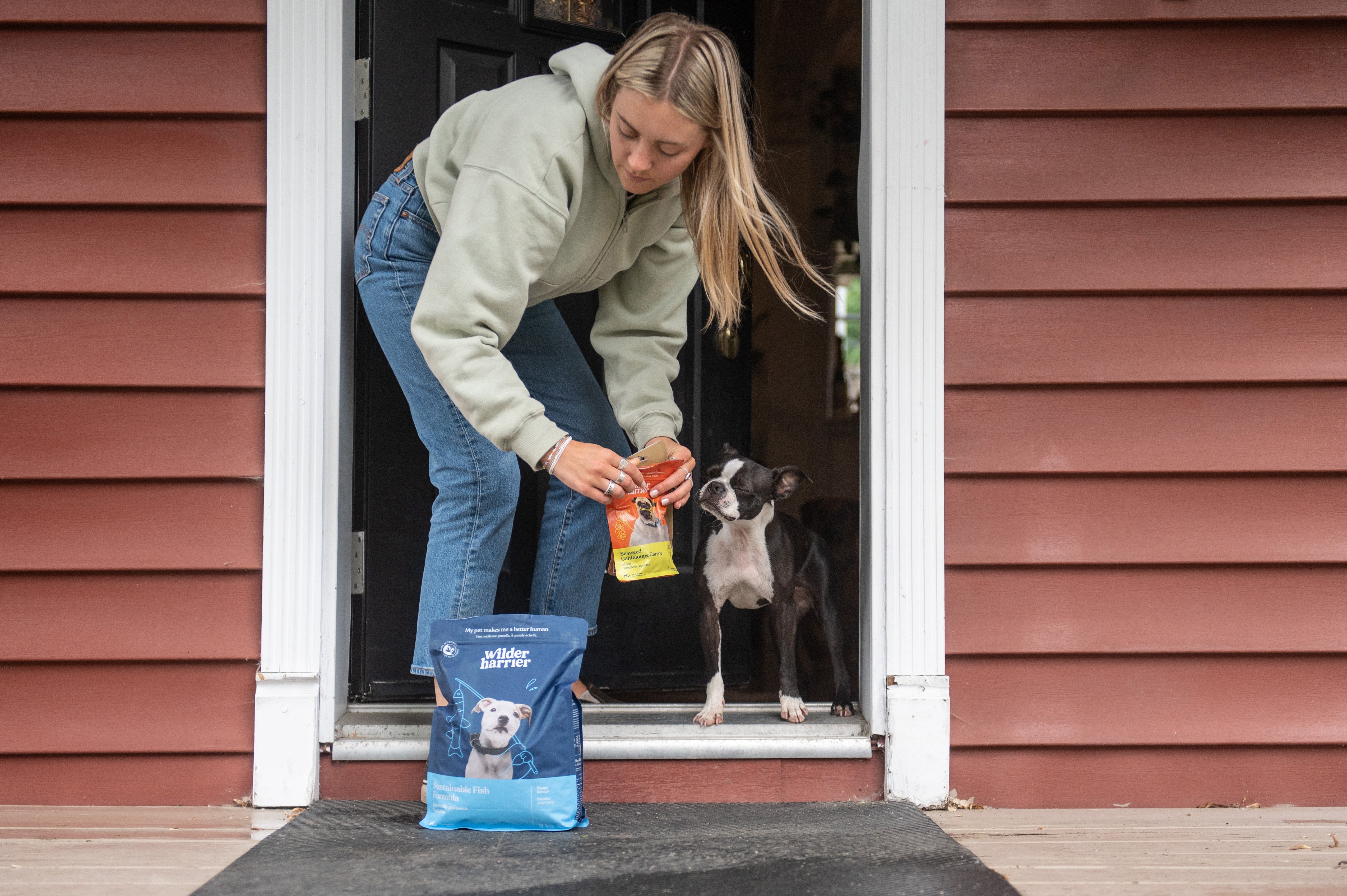 Top 10 Things to Look for When Choosing Food for Your Dog or Puppy?