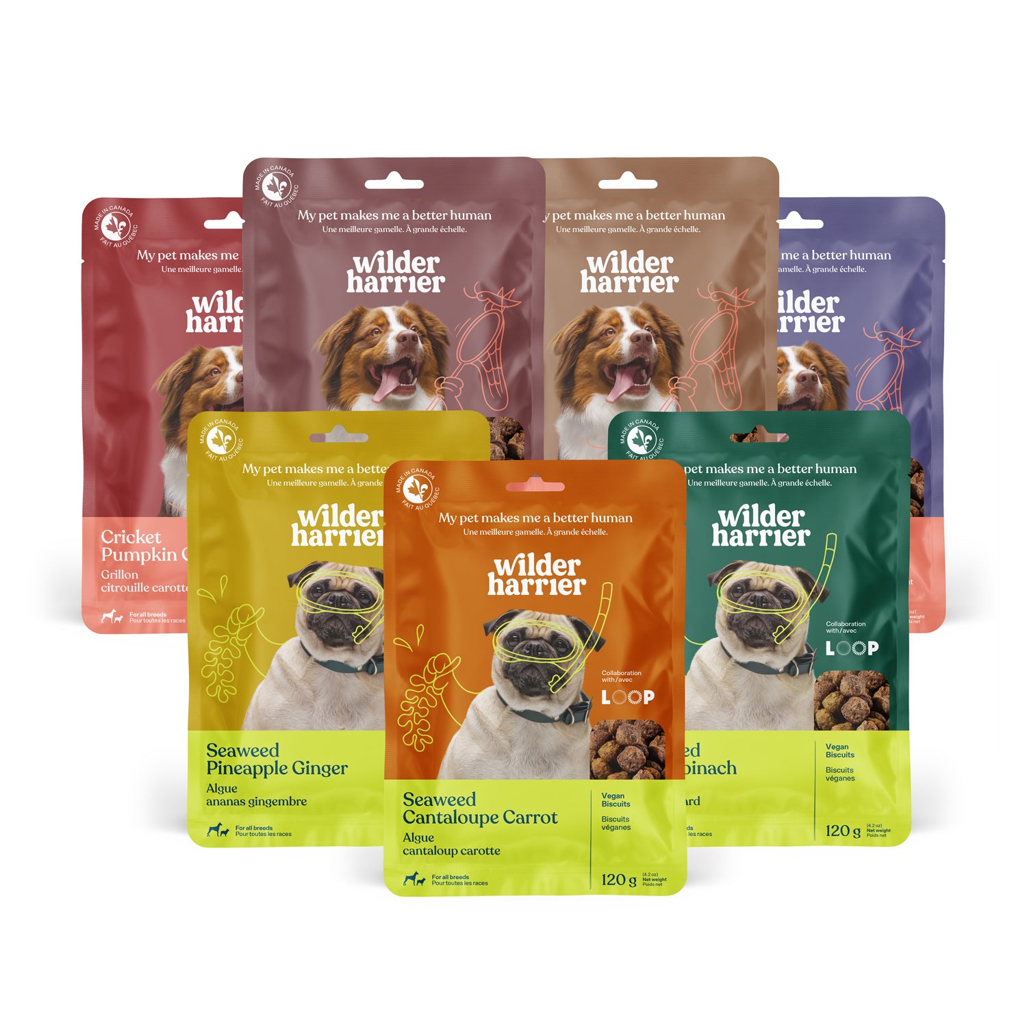 Pack de 7 - Découverte - Promotion