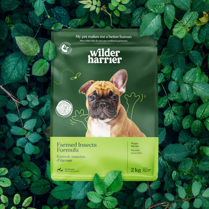 Farmed Insects formulas / Adult & Puppy