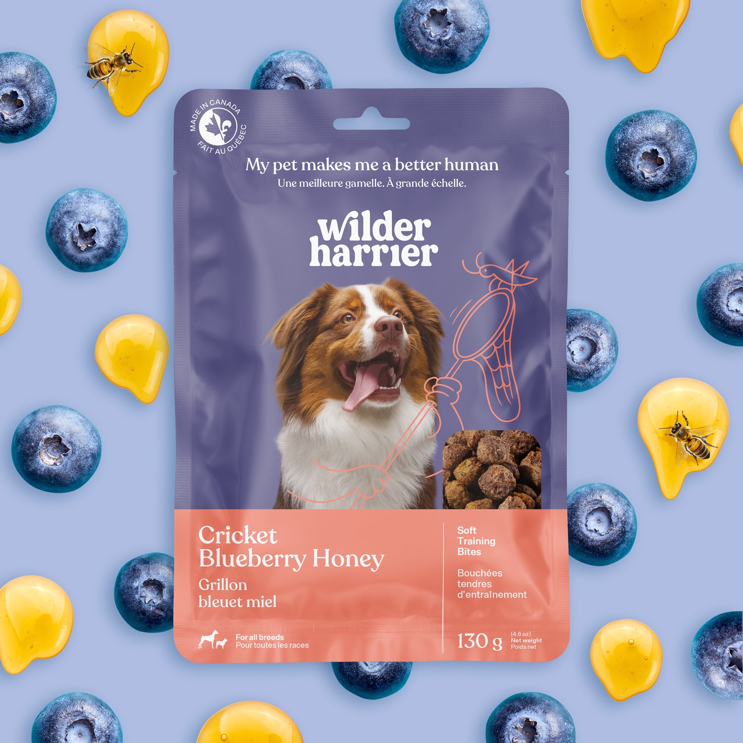 Pack de 7 - Découverte - Promotion