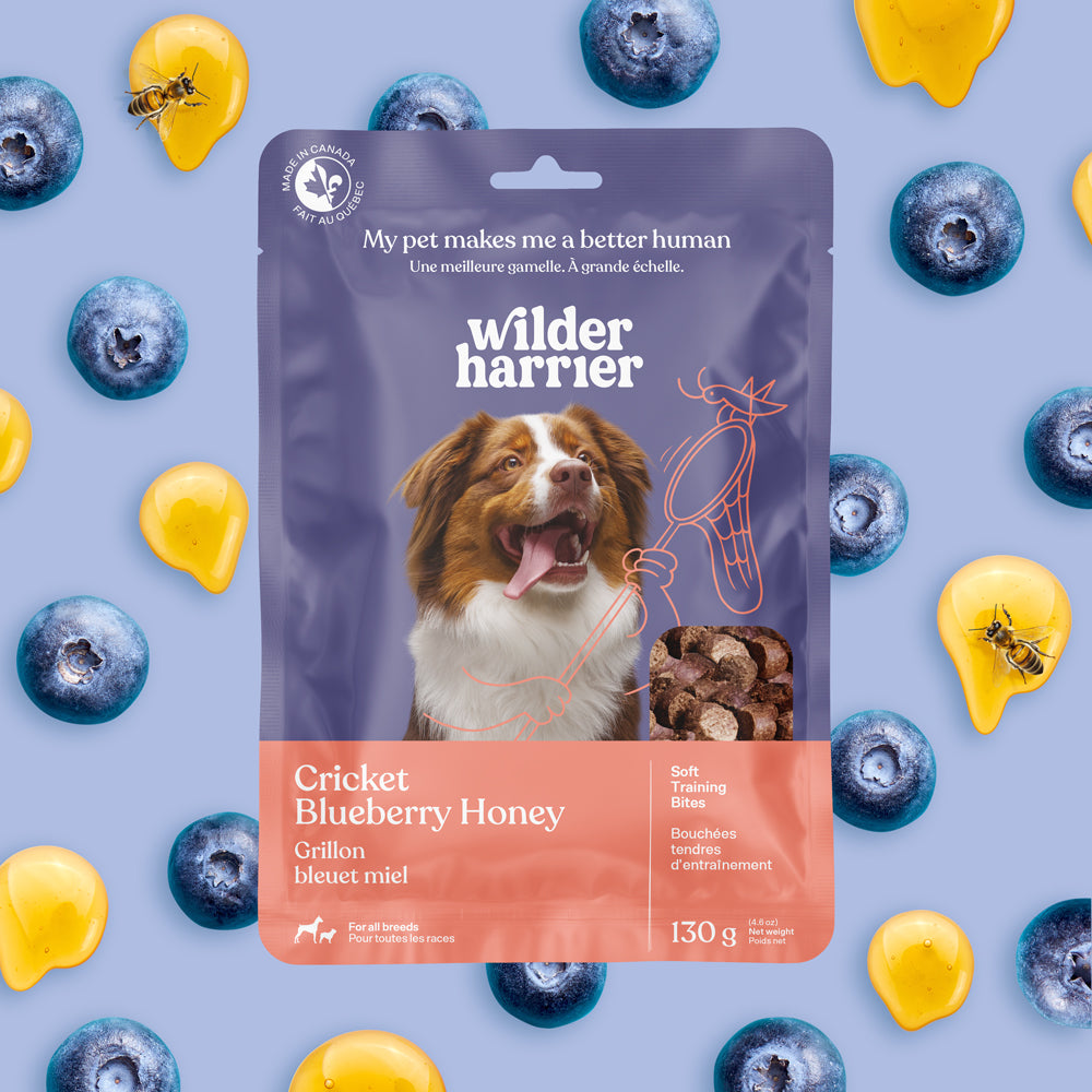 Bouchées d'entraînement - Promotion