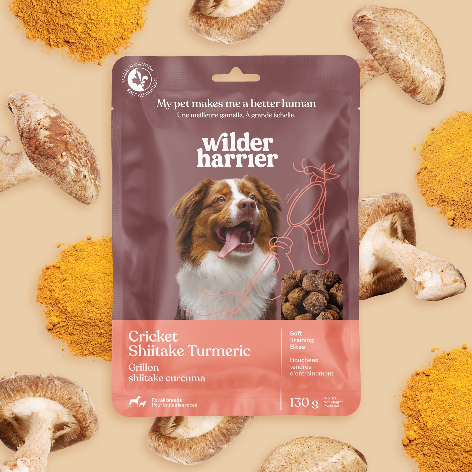 Pack de 7 - Découverte - Promotion