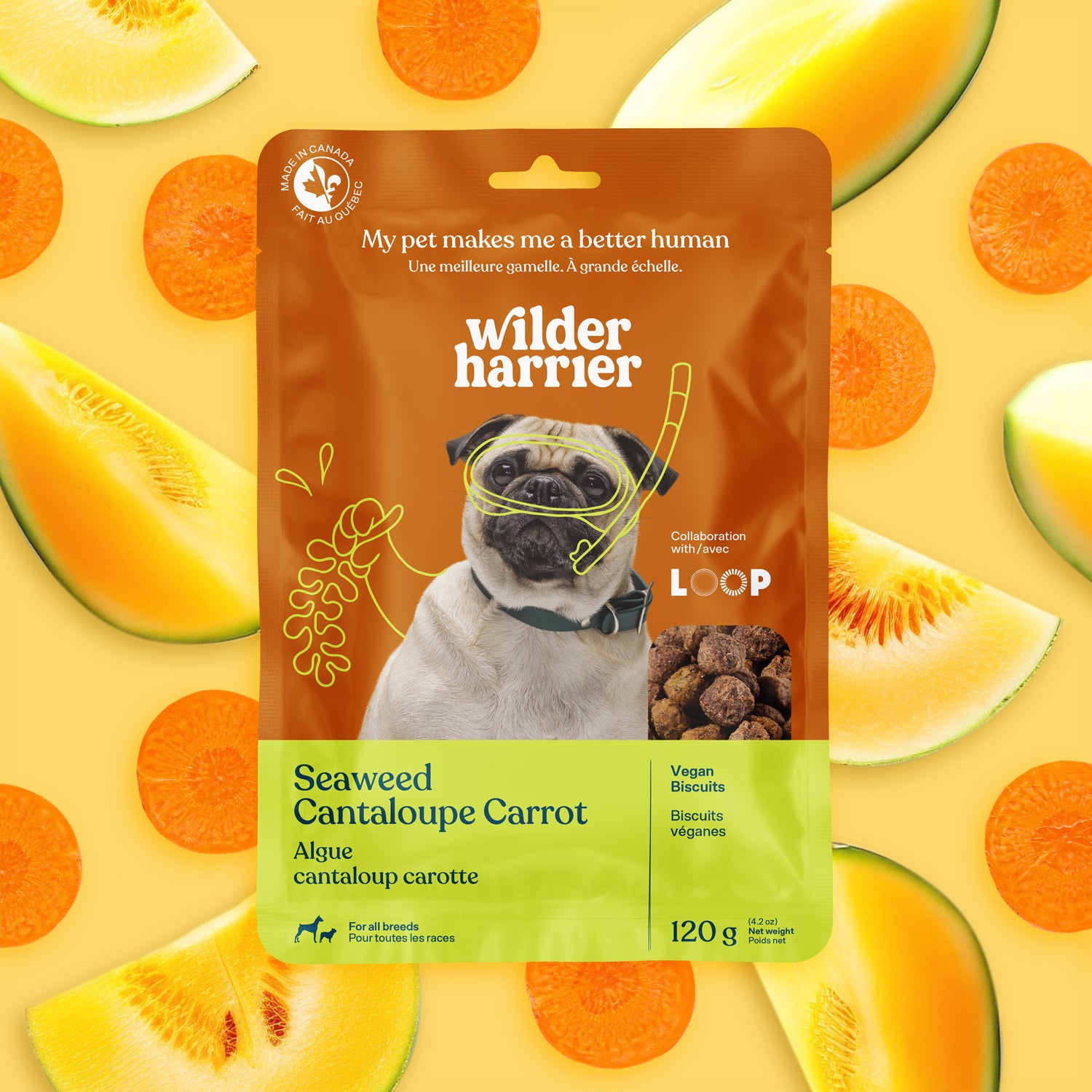 Pack de 7 - Découverte - Promotion