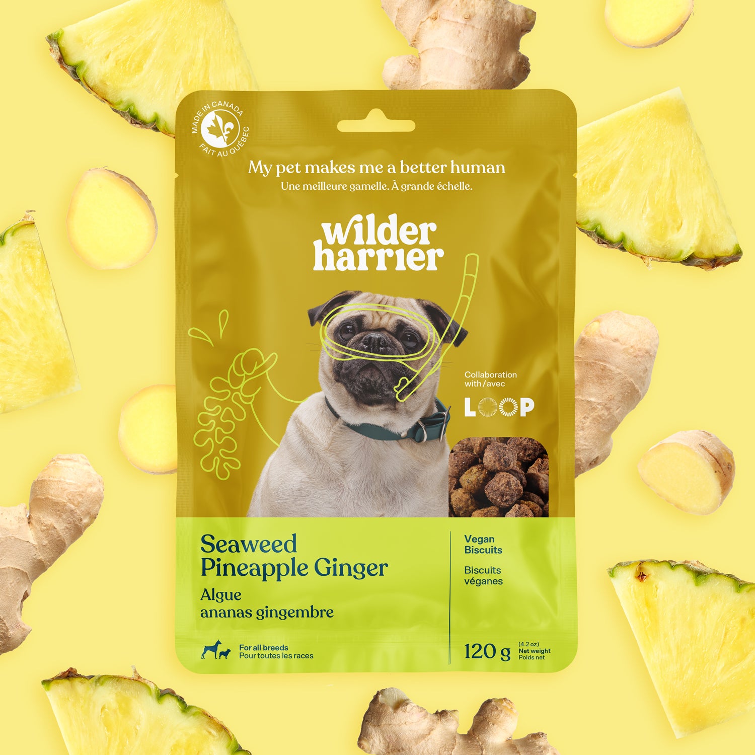 Pack de 7 - Découverte - Promotion