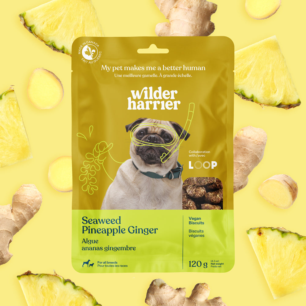 Dog Biscuits