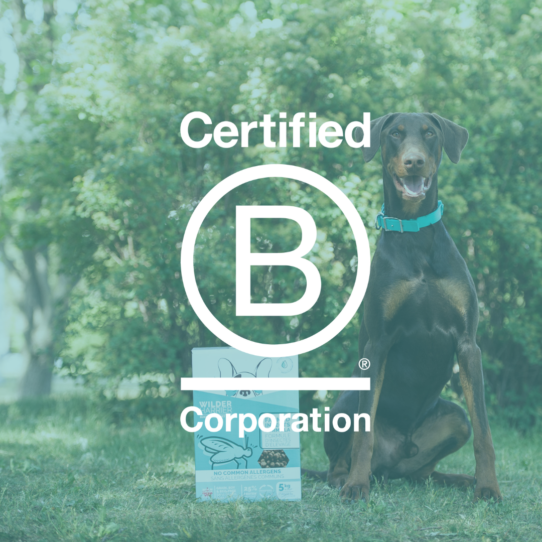 Wilder Harrier is now a proudly certified B Corporation!