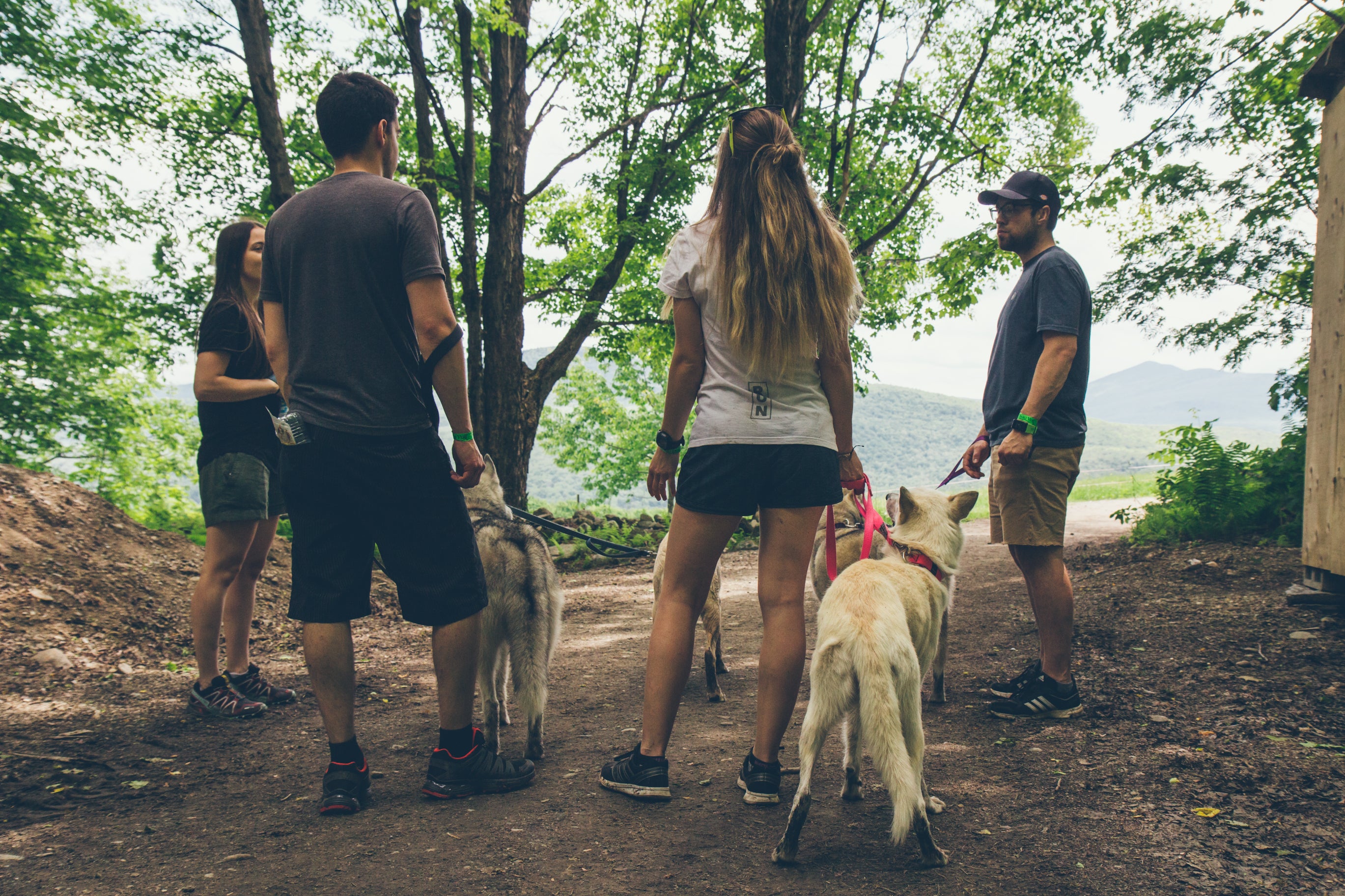 How Do You Train Your Dog For Hiking?