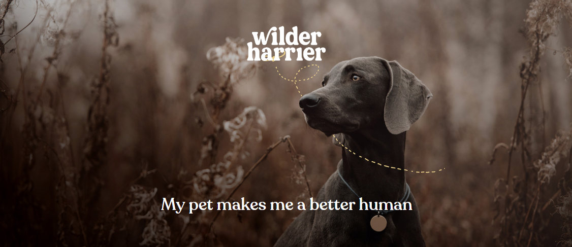 Wilder Harrier: My Pet Makes Me A Better Human