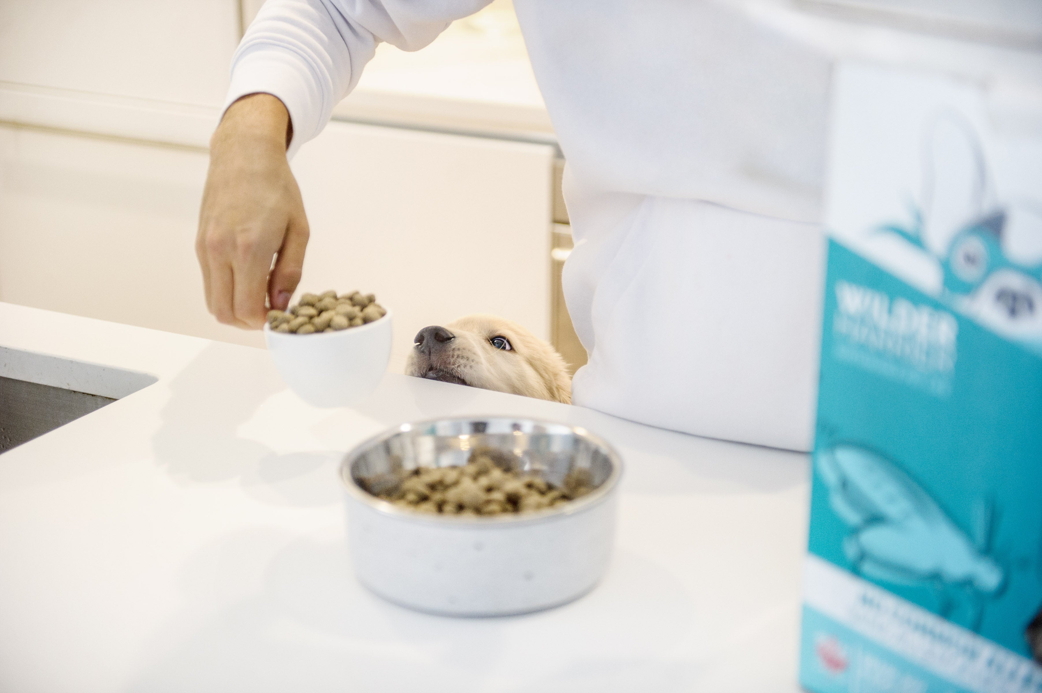 wilder harrier new natural dog food
