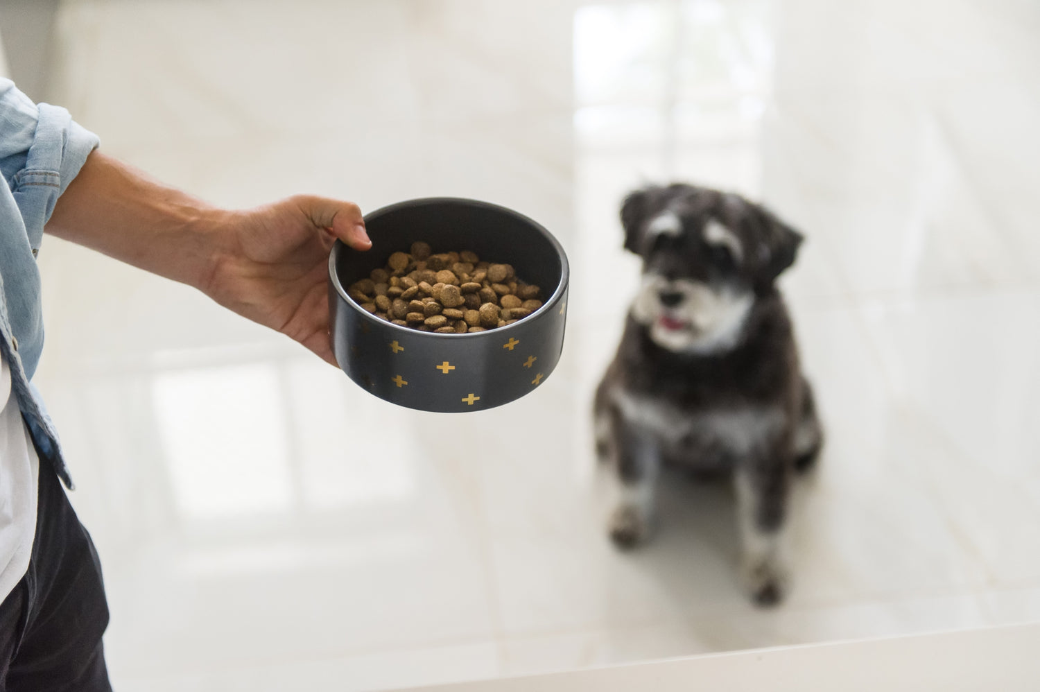 Ultimate Guide to Dog Food Ingredients & Their Benefits