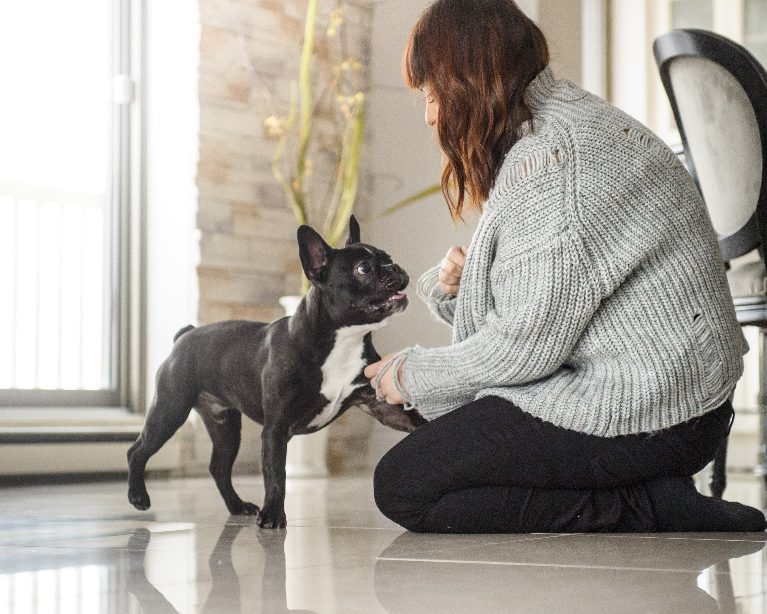 Comment récompenser judicieusement votre chien ?