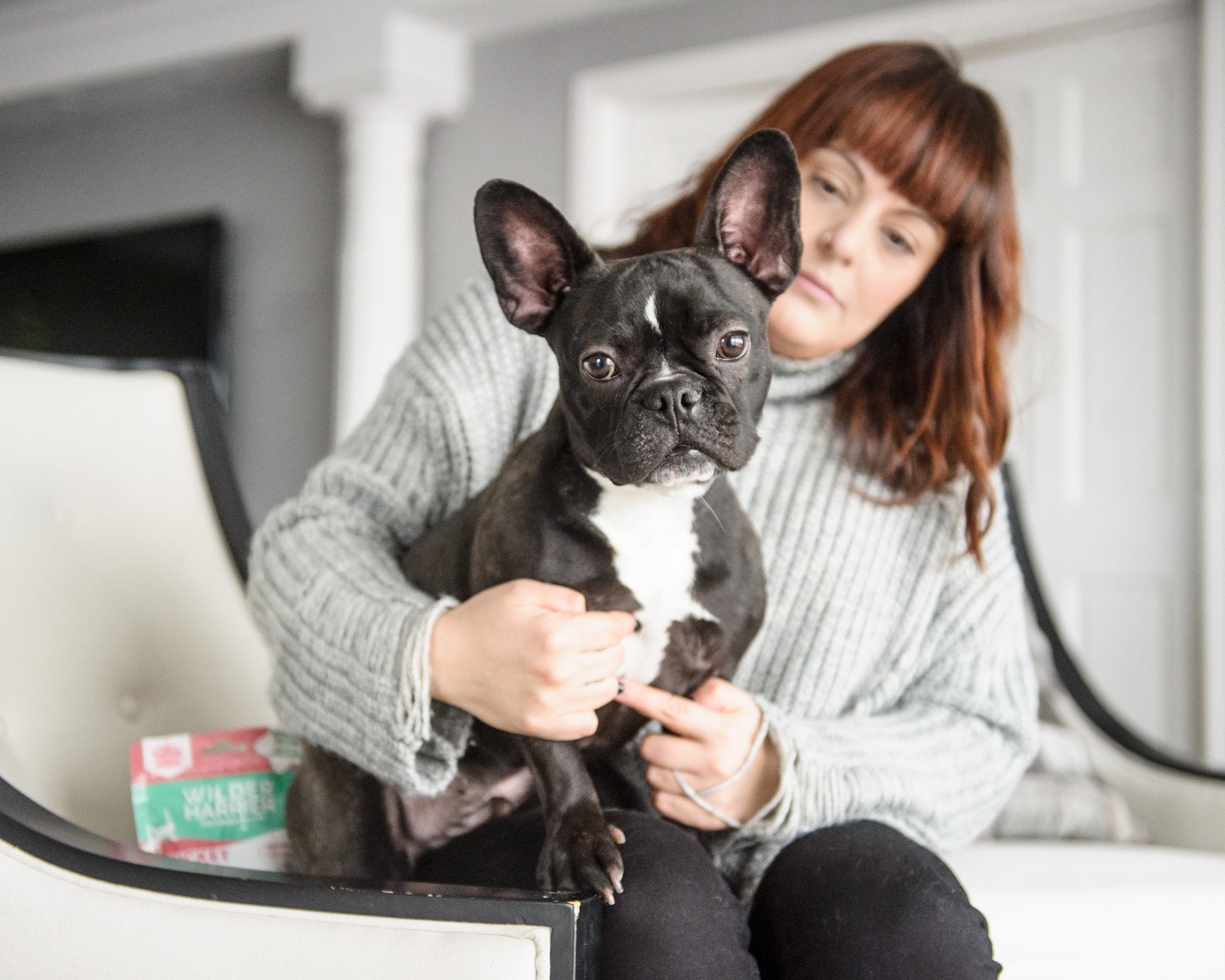 Les problèmes de peau les plus courants chez les chiots et les chiens