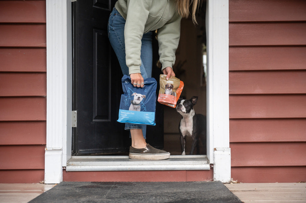 The Importance of Variety: Feeding your Dog a Healthy and Balanced Diet