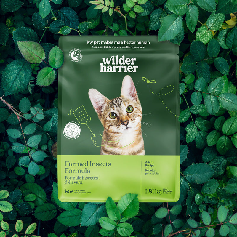 Farmed Insects formula / Adult Cat