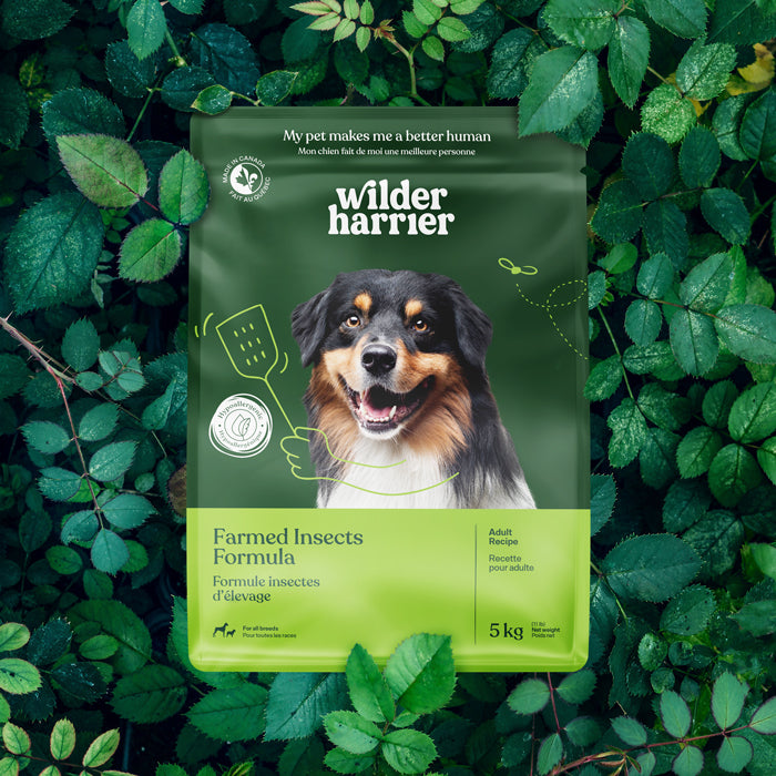 Farmed Insects formulas / Adult & Puppy