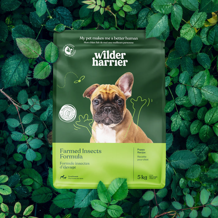 Formules à base d'insectes d'élevage / Adulte et chiot