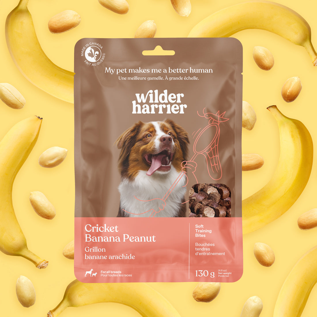 Dog Treats