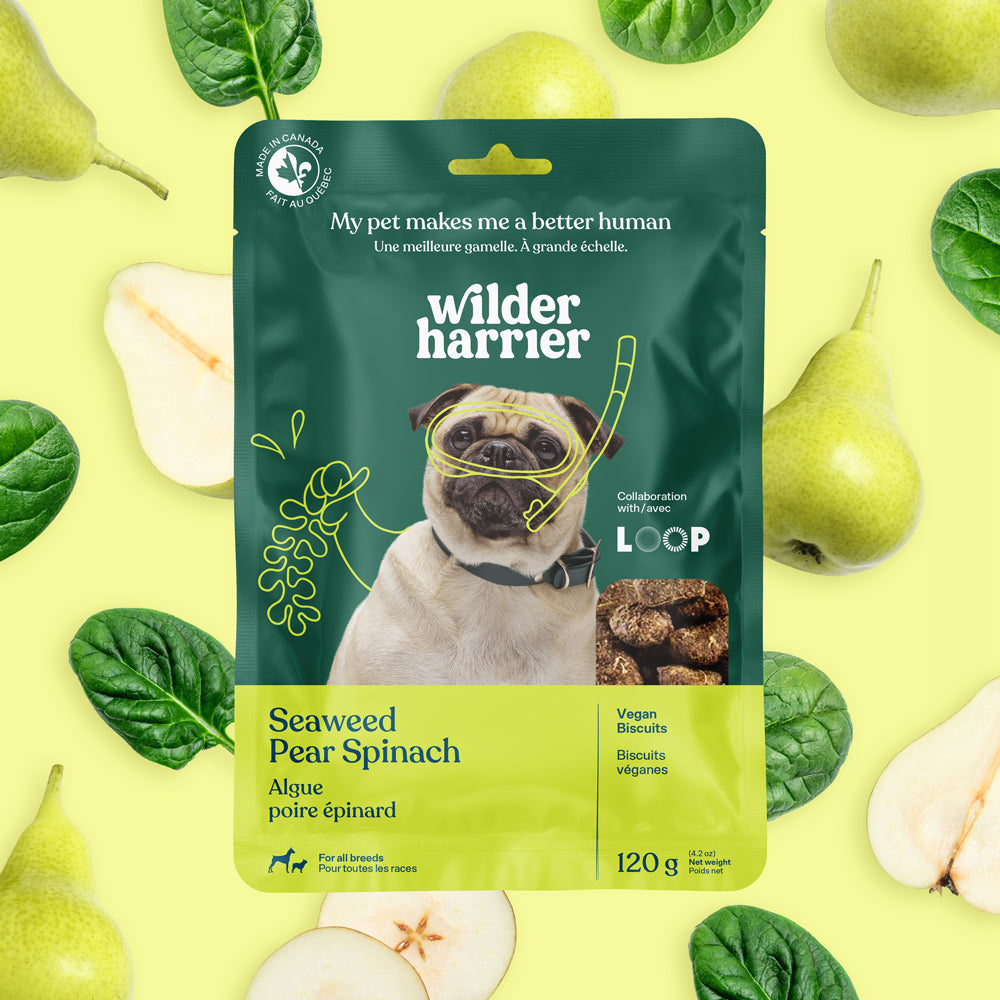 Dog Biscuits