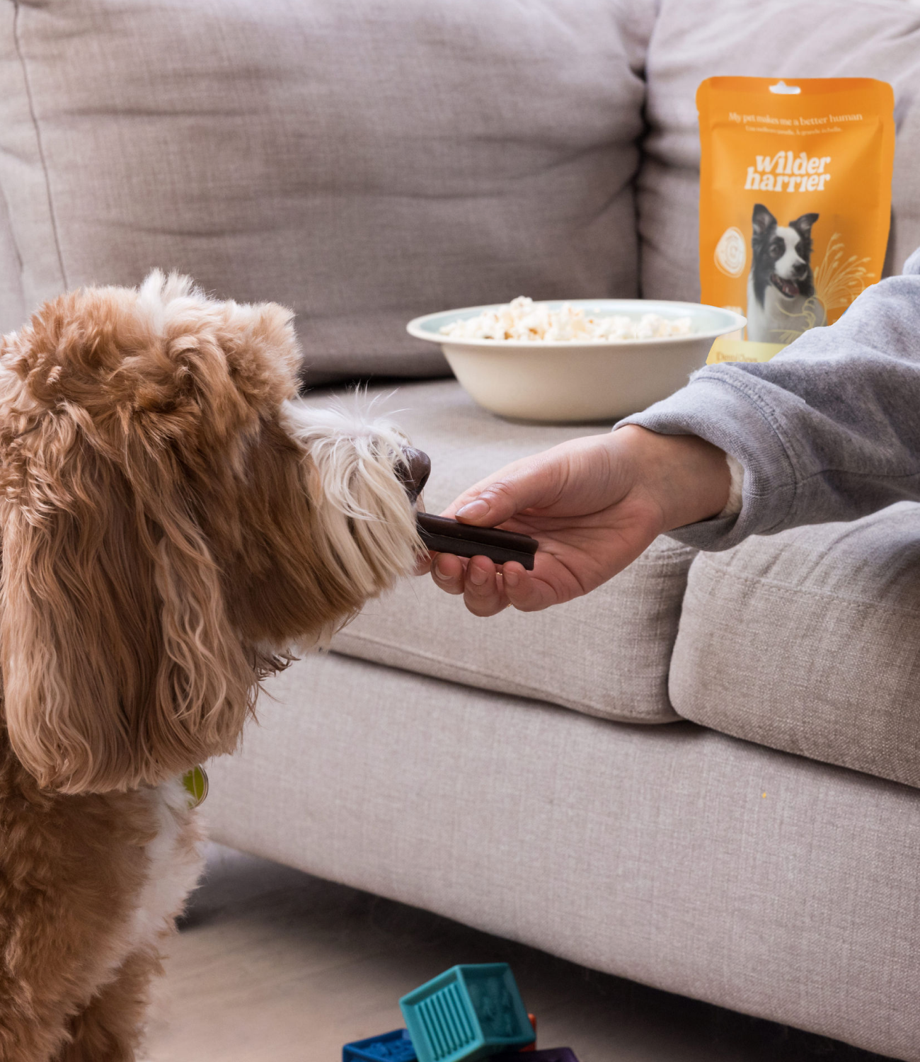 Dental chews for clearance humans