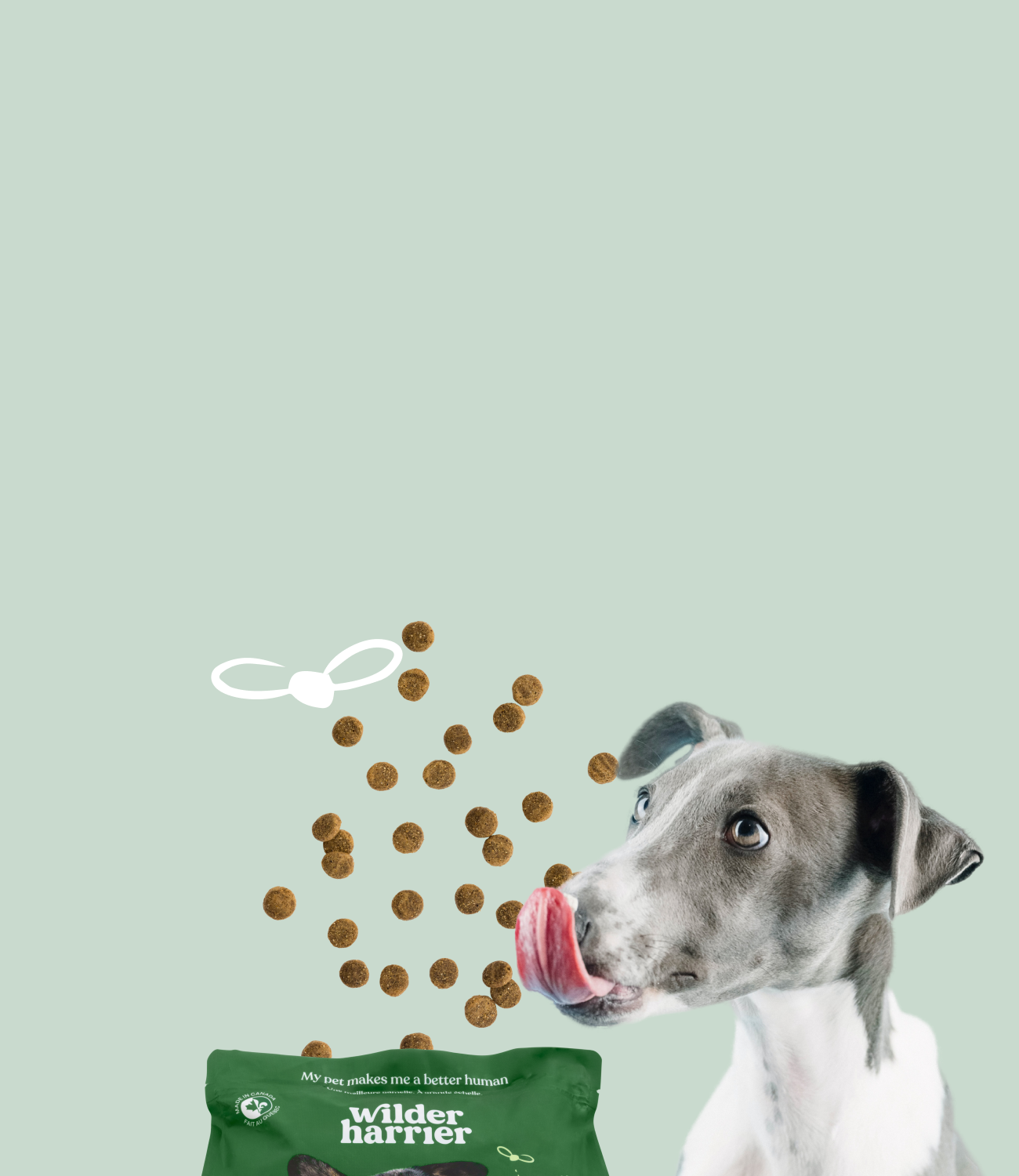 Hypoallergenic fish dog food online